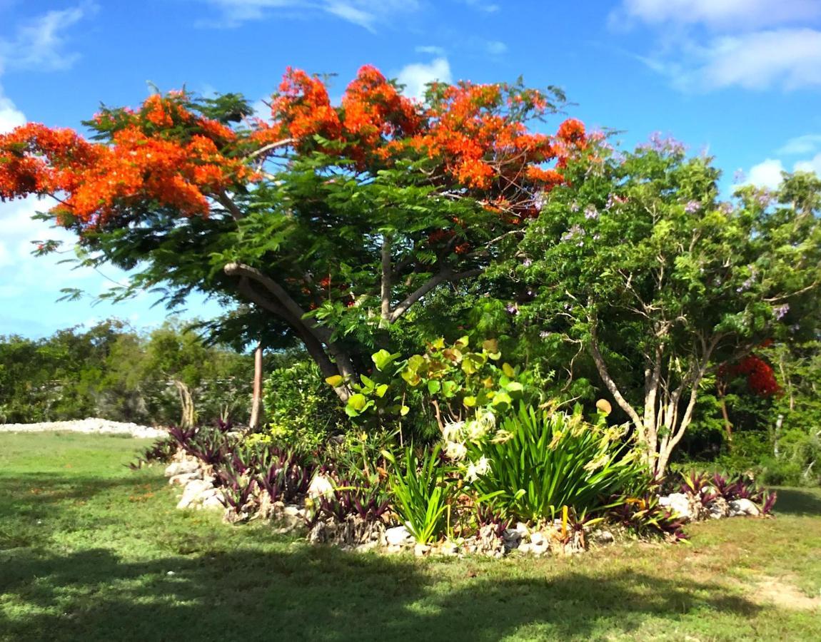 Apartamento Turtles Nest Bahamas George Town Exterior foto